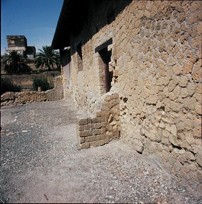 The Hotel House by Roman Roman